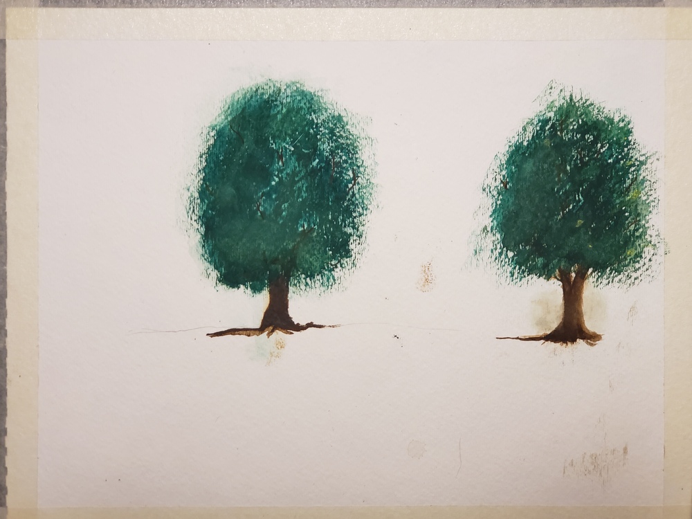 Two summer styled deciduous trees on a blank background painted in watercolor.